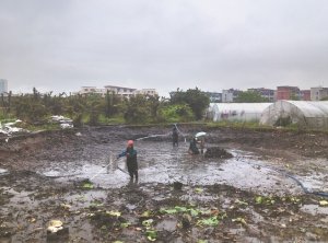 猇亭河道鱼塘清淤